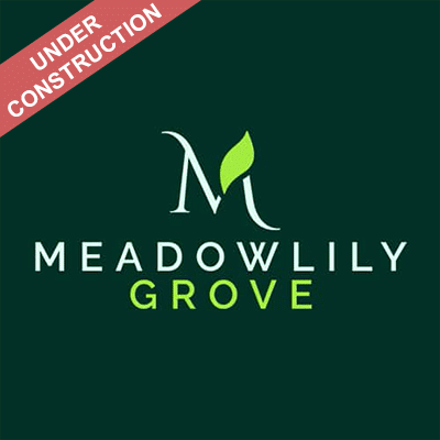 meadowlily